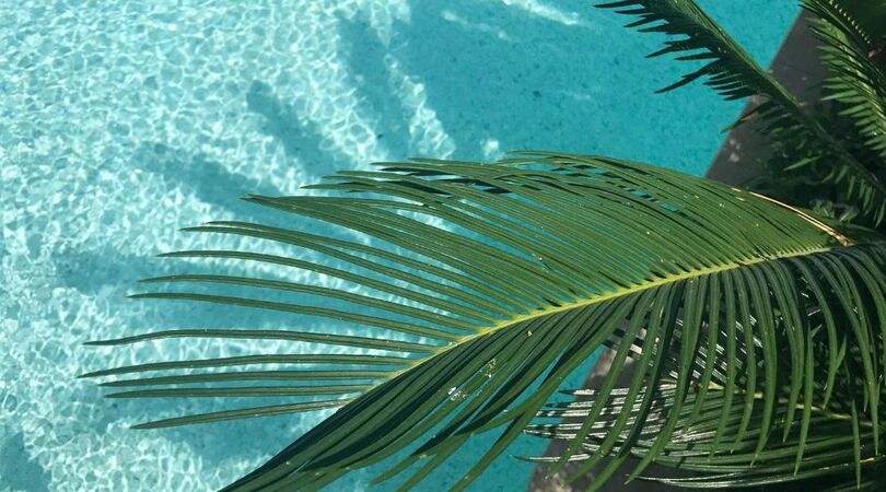 wanneer-is-de-zomervakantie-2025