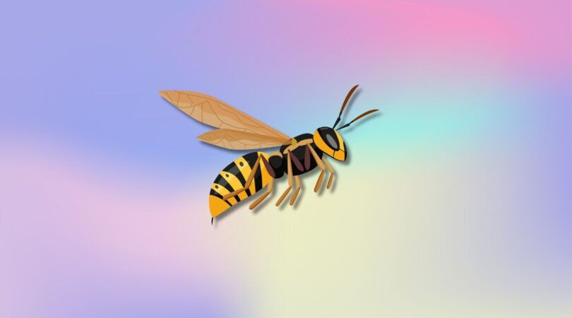Illustratie van een wesp.