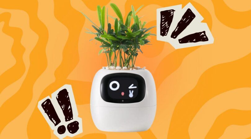 Slimme plantenpot van Bol.com.