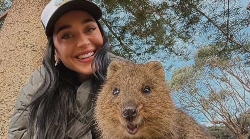 Foto van Katy Perry waarbij ze poseert met een wasbeer.