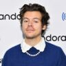Harry Styles stelt concert in Ziggo Dome uit tot volgend jaar