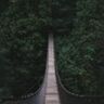Wauw! Deze hangbrug is echt prachtig en bengelt in buurland Duitsland