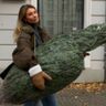 Een meisje met een kerstboom in haar hand.