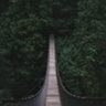 Wauw! Deze hangbrug is echt prachtig en bengelt in buurland Duitsland